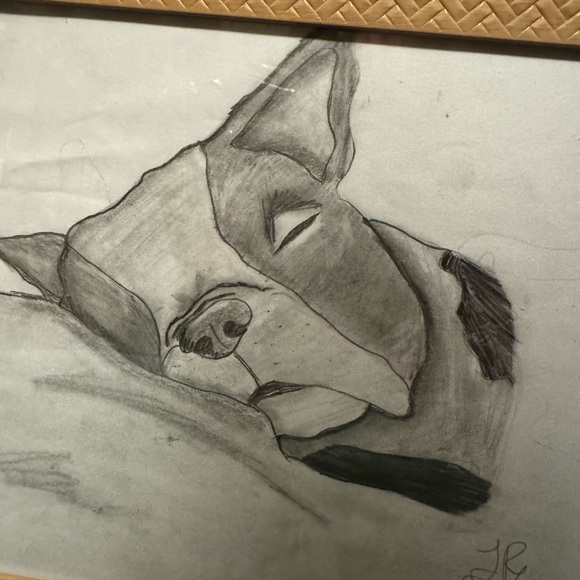 Boston Terrier, Hand drawn - Picture 3 of 4
